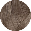 6MM