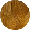 8NW
