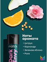 Шампунь Dark Envy для нейтрализации красных оттенков у брюнеток