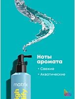 Спрей для прикорневого объёма High Amplify Wonder Boost Root Lifter