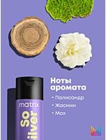 Шампунь для светлых и седых волос So Silver