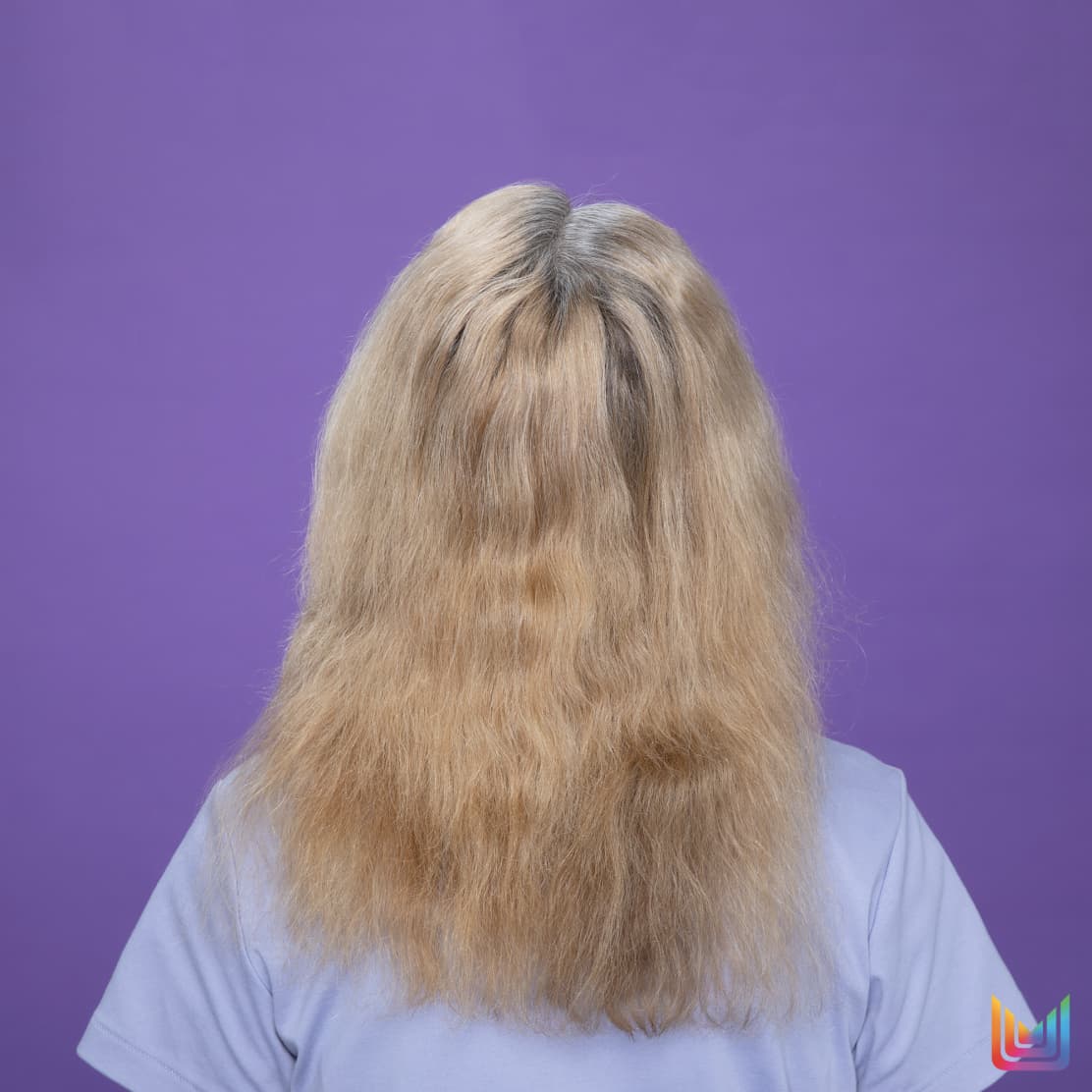 Model 2 before